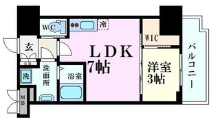 セレニテ福島アリアの物件間取画像